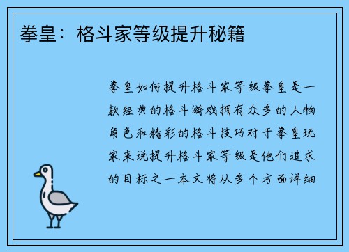 拳皇：格斗家等级提升秘籍